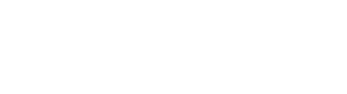 DigeTekS logo